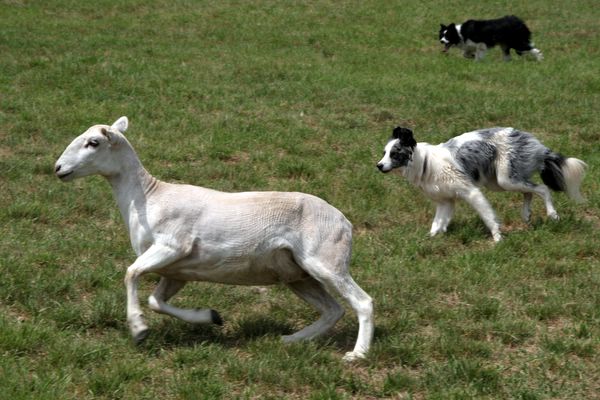 Click to see next picture