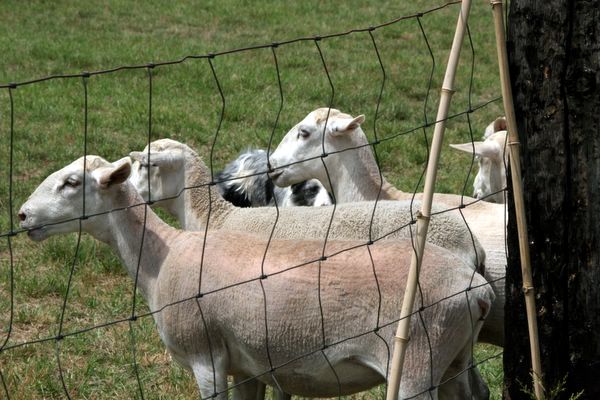 Click to see next picture