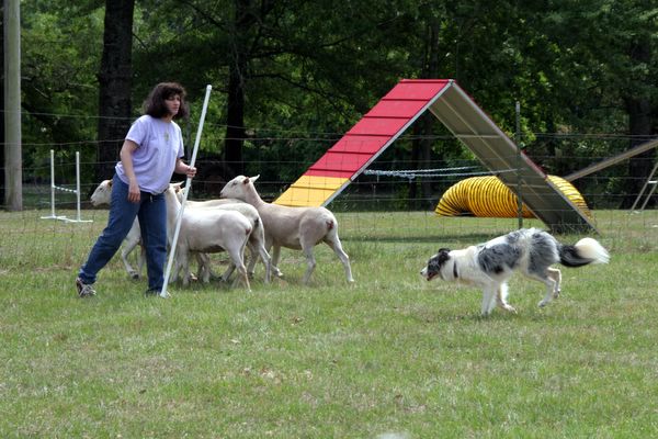 Click to see next picture