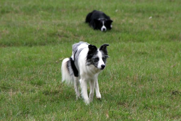 Click to see next picture