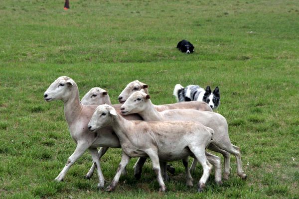 Click to see next picture