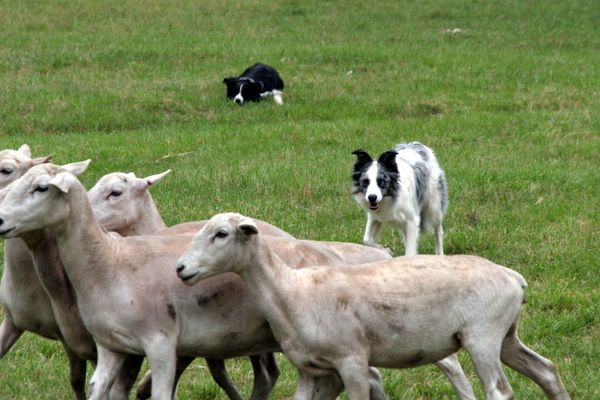 Click to see next picture