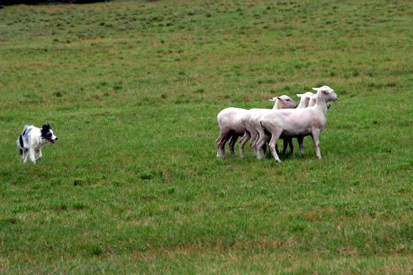 Click to see next picture