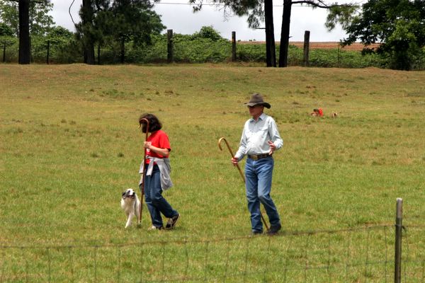 Click to see thumbs page