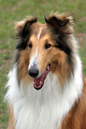 Click to see next picture