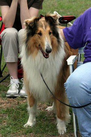 Click to see next picture