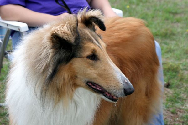 Click to see next picture