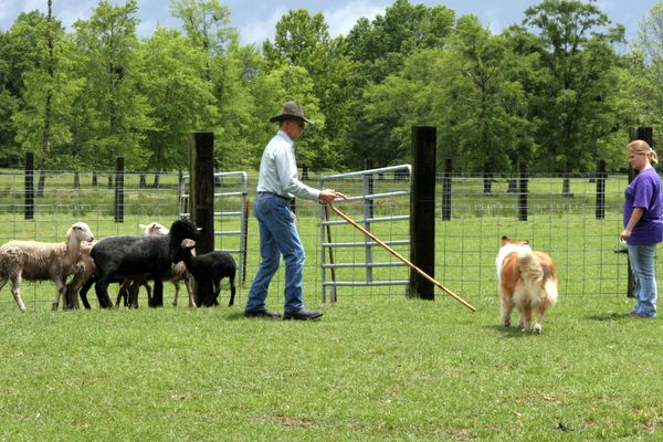 Click to see next picture