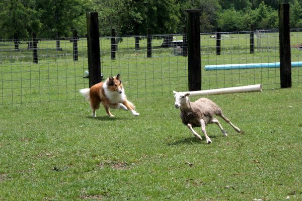 Click to see next picture