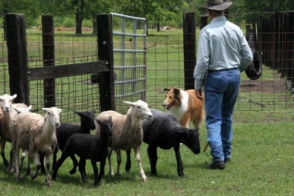 Click to see next picture