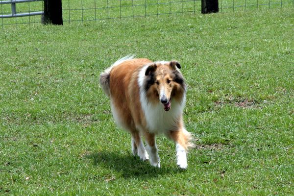 Click to see next picture