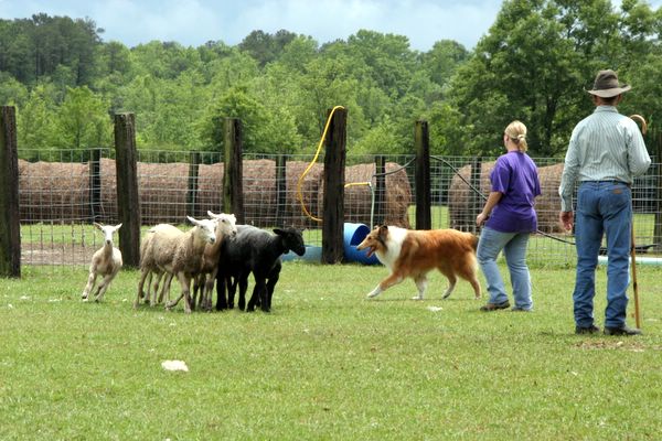 Click to see next picture