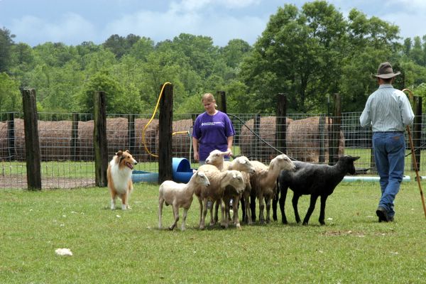 Click to see next picture