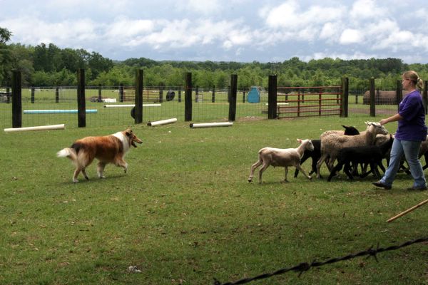 Click to see next picture