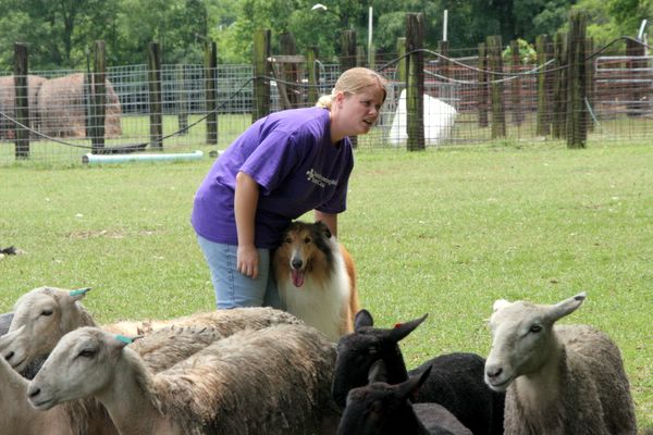 Click to see thumbs page