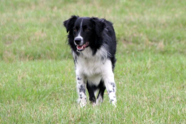 Click to see next picture