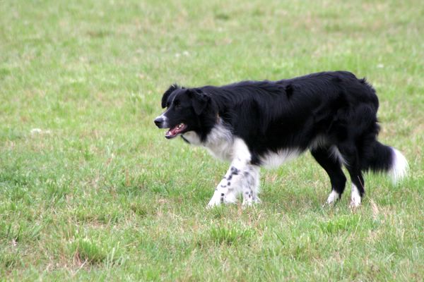 Click to see next picture