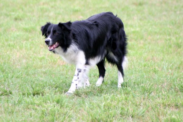 Click to see next picture