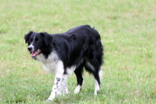 Click to see next picture