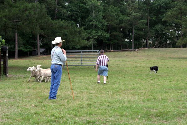 Click to see next picture