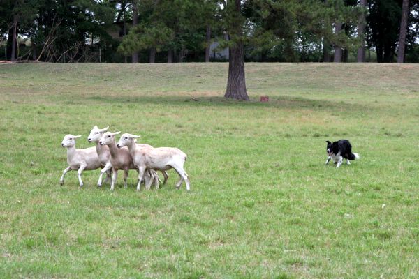 Click to see next picture