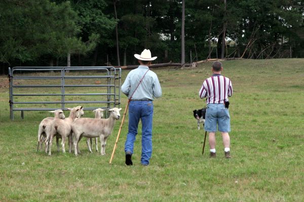 Click to see next picture