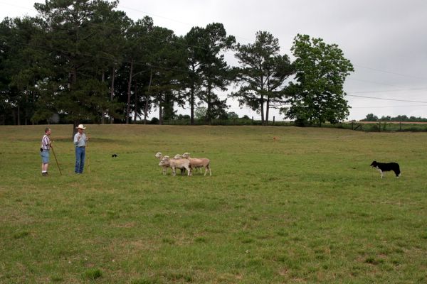 Click to see thumbs page