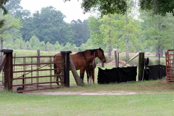 Click to see next picture