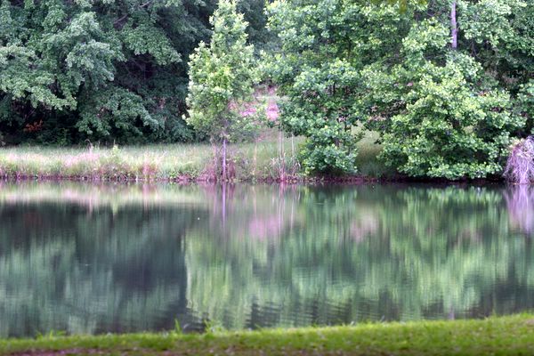 Click to see next picture