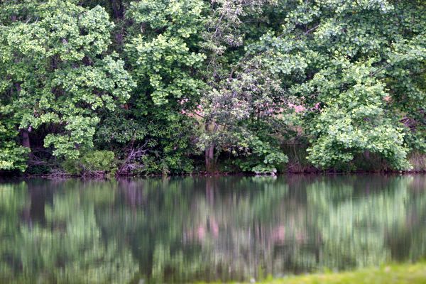 Click to see next picture