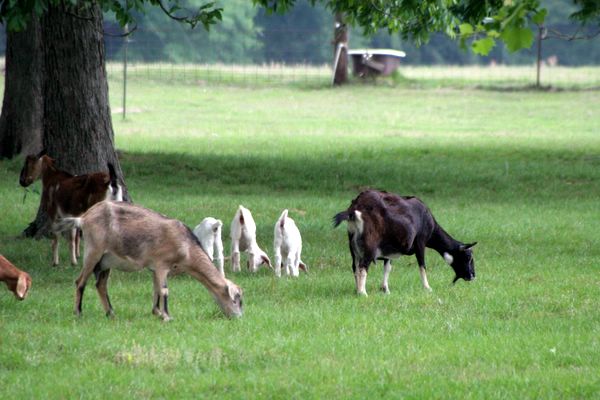 Click to see next picture