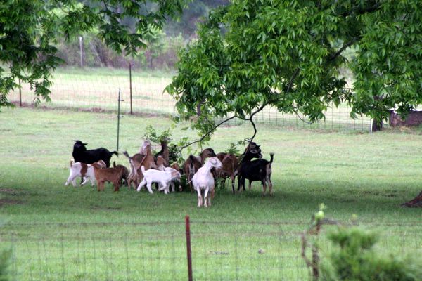 Click to see next picture