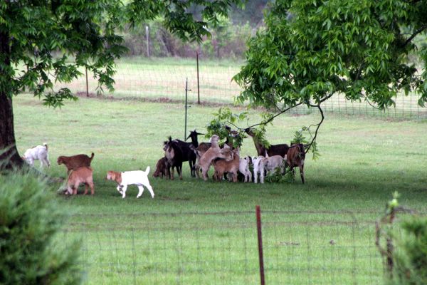 Click to see next picture