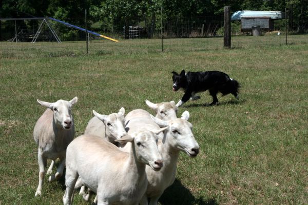 Click to see next picture