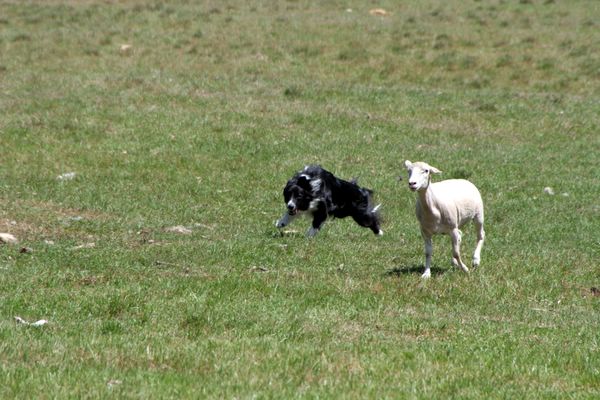 Click to see next picture