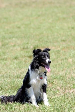 Click to see next picture