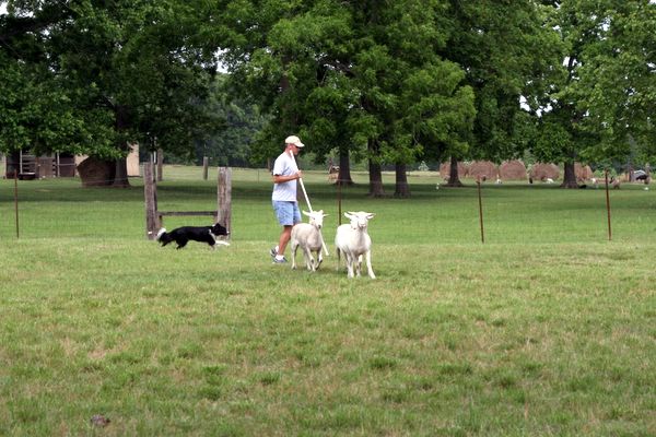 Click to see next picture