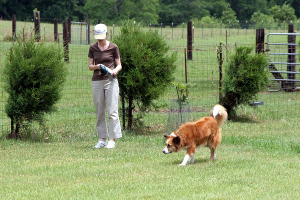 Click to see next picture