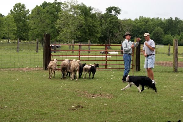 Click to see next picture