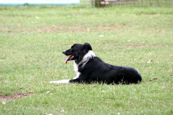 Click to see next picture