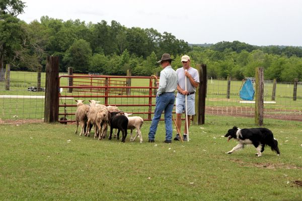 Click to see next picture