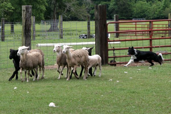 Click to see thumbs page