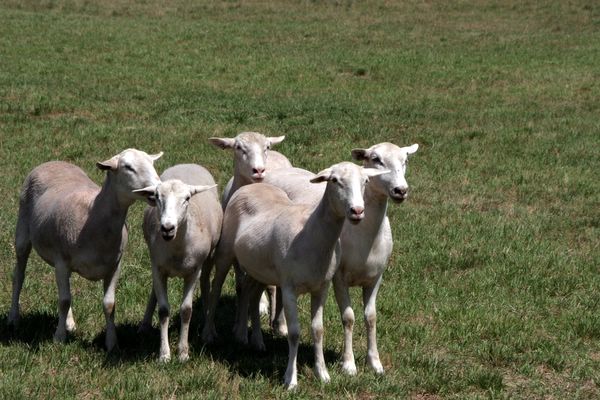 Click to see next picture