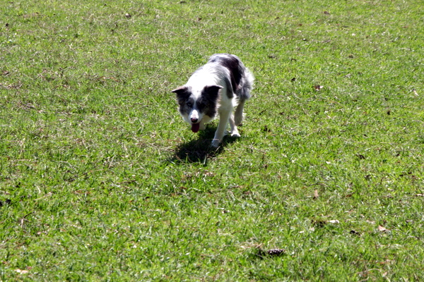 Click to see next picture