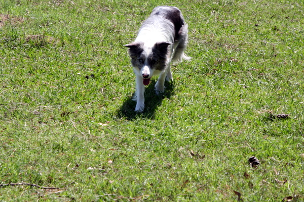 Click to see next picture