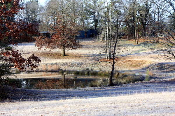 Click to see next picture