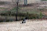 Click to see big picture (600x400 pixels; 163 KB))