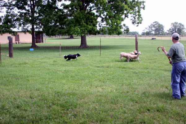 Click to see next picture
