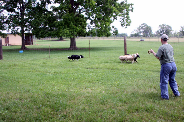 Click to see next picture