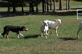 IMG_3015